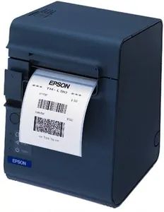 Замена памперса на принтере Epson TM-L90 в Санкт-Петербурге